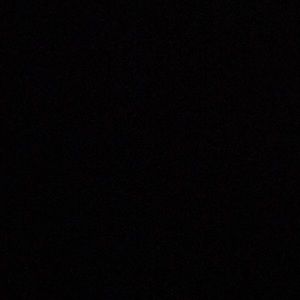 Meet your Posher, Ansley